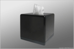Tissue Box SleuthGear™ Recluse